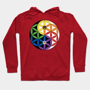 Balance of Life Hoodie